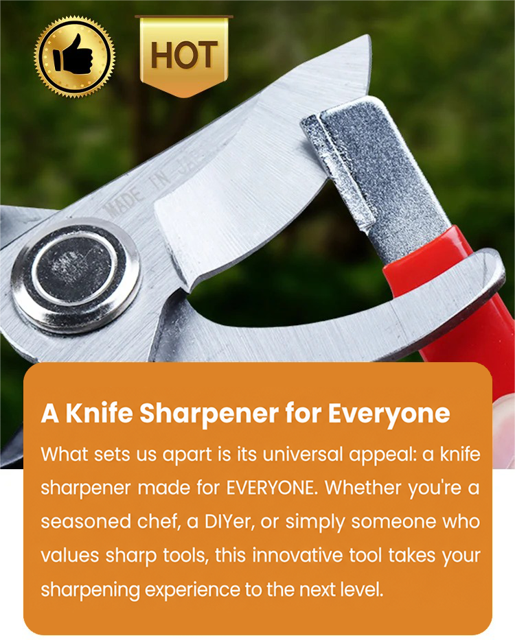 Portable multi-purpose knife and tool sharpener