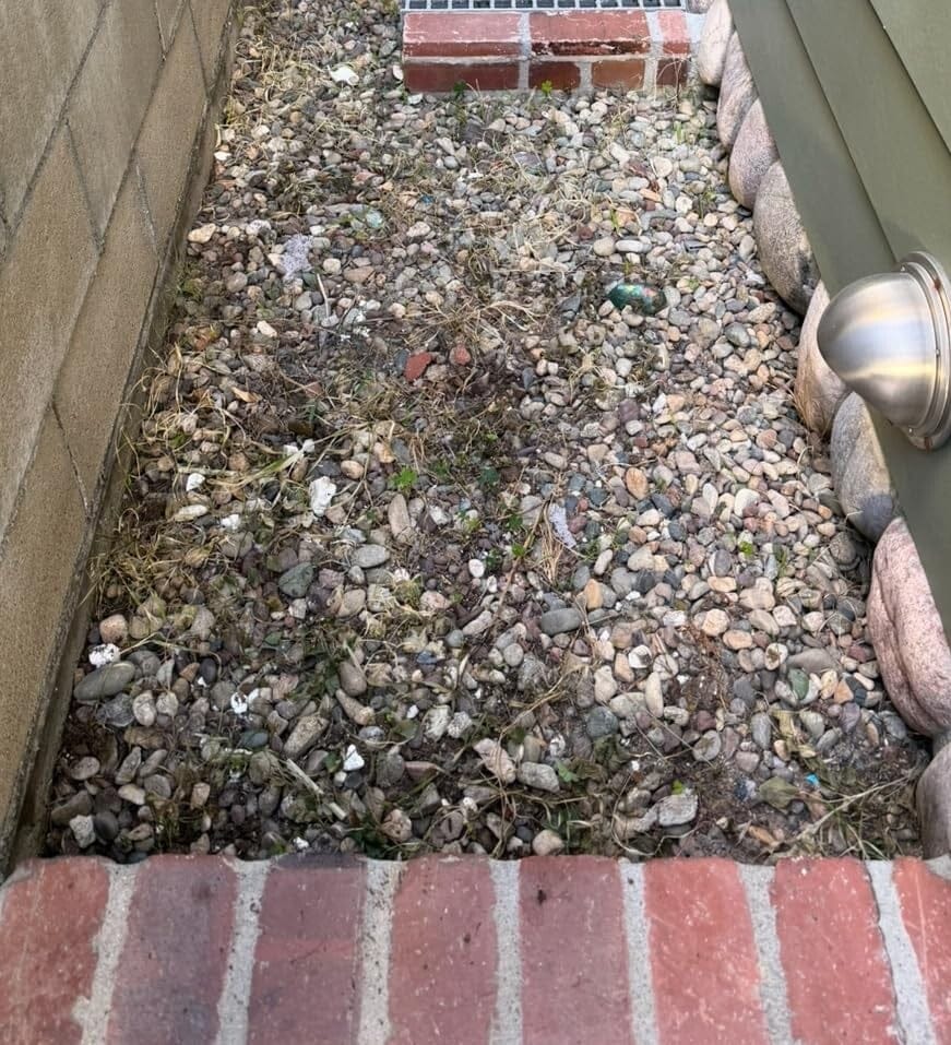 Gravel side yard after weed spot treatment