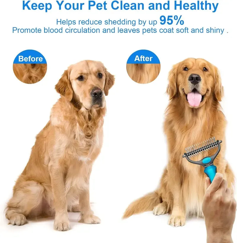 Golden retriever coat before and after regular deshedding