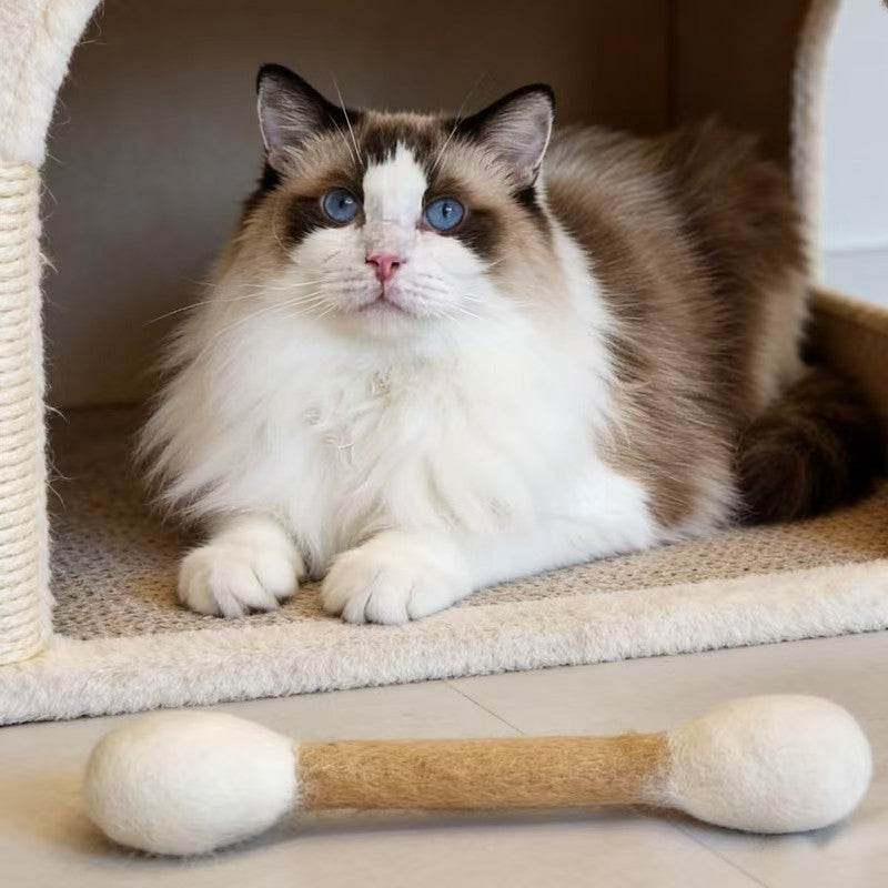 🔥LAST DAY -BUY 2 GET 2 FREE-$7.5 EACH🎁Giant cotton bud cat toy