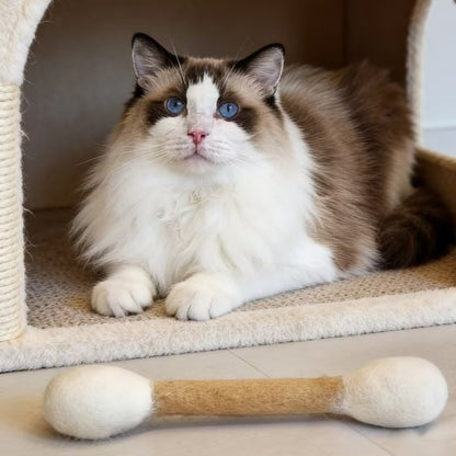 🔥LAST DAY -BUY 2 GET 2 FREE-$7.5 EACH🎁Giant cotton bud cat toy