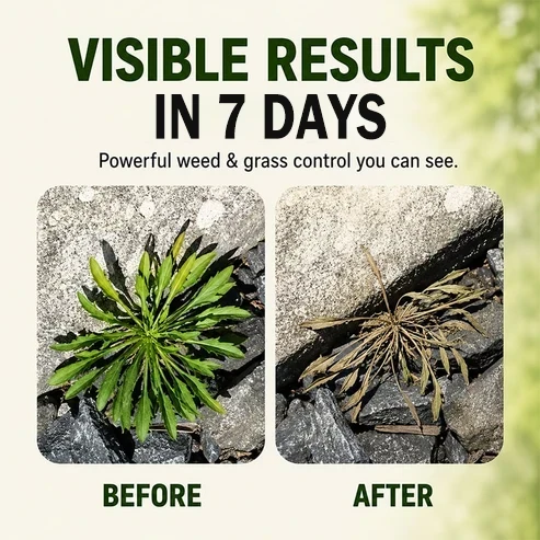 Before and after example of weed control results
