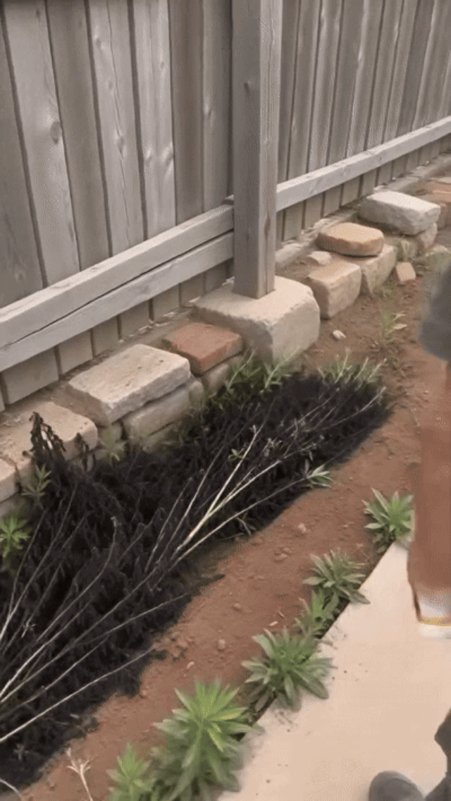 Targeted weed treatment along a fence line