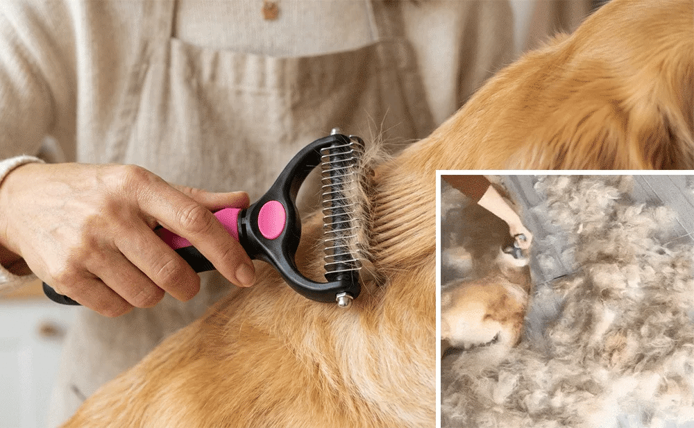Double-sided grooming brush collecting loose undercoat from a dog