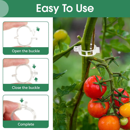 🔥Last Day Sale🔥 Tomato Clips, Plastic Trellis Clips