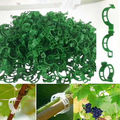 🔥Last Day Sale🔥 Tomato Clips, Plastic Trellis Clips