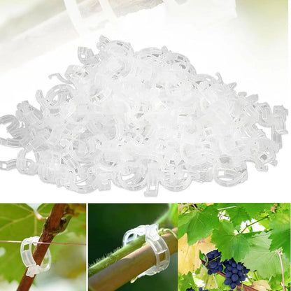 🔥Last Day Sale🔥 Tomato Clips, Plastic Trellis Clips