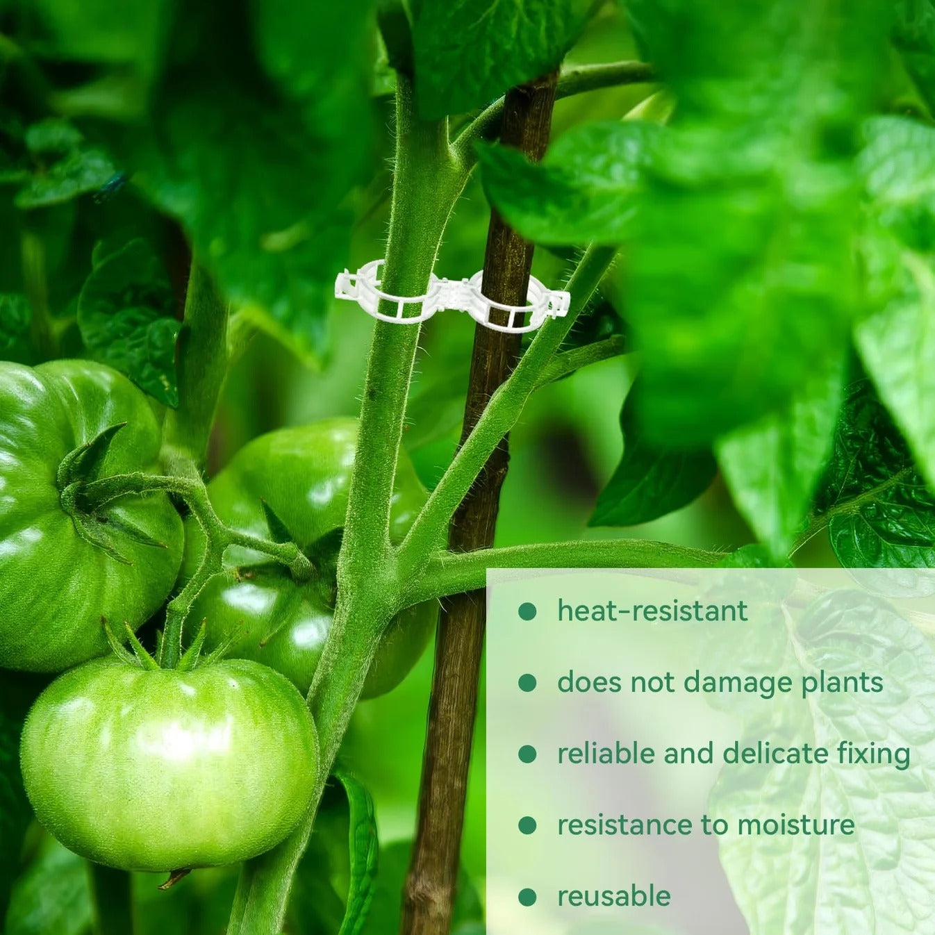 🔥Last Day Sale🔥 Tomato Clips, Plastic Trellis Clips