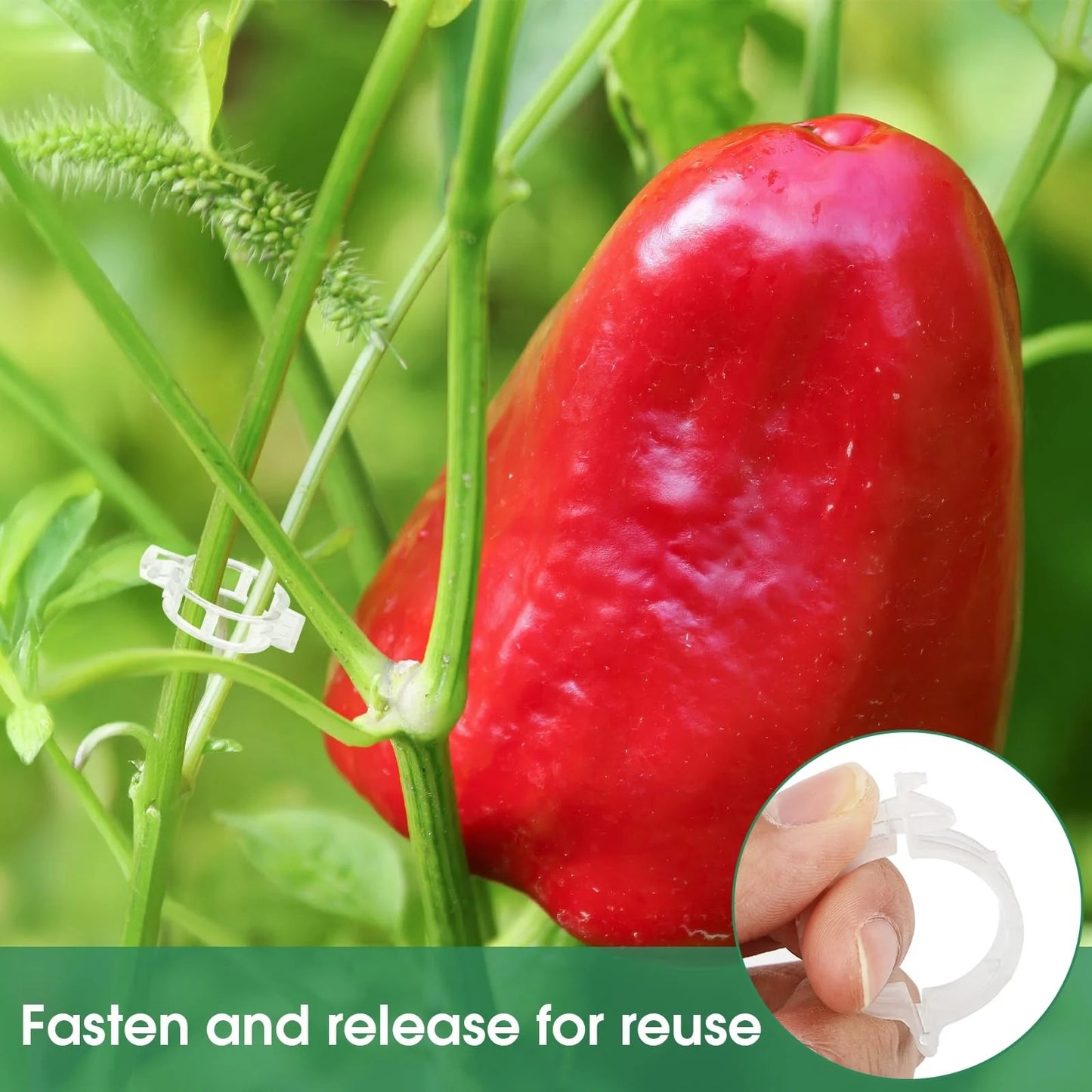 🔥Last Day Sale🔥 Tomato Clips, Plastic Trellis Clips
