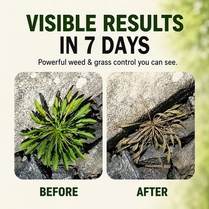 🔥Last Day 49% off🔥Fast-Acting Natural Herbicide Spray🌿