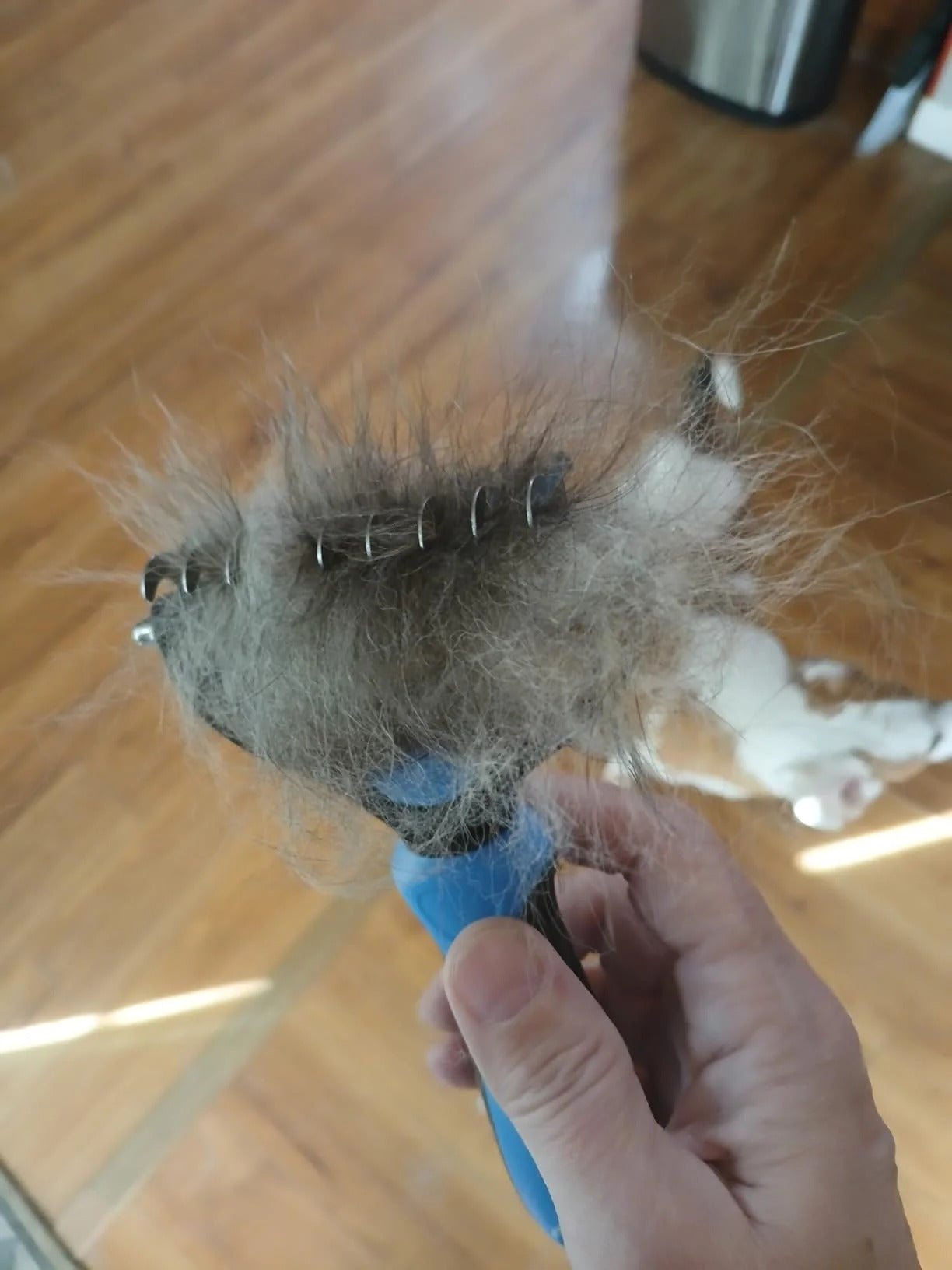 Loose pet undercoat collected by the grooming brush